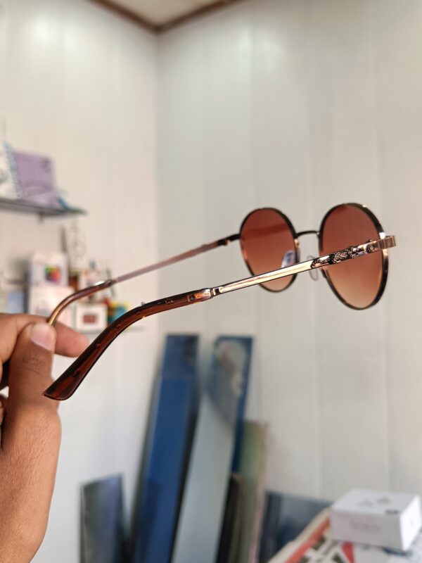 Brown oval shape with tiger frame fashionable goggle